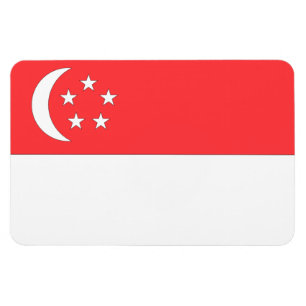 Singapore Flag Magnet