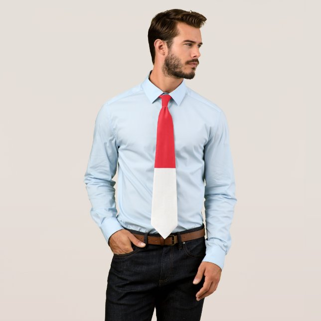 Singapore flag neck tie (In Situ)