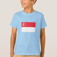 Singapore Flag