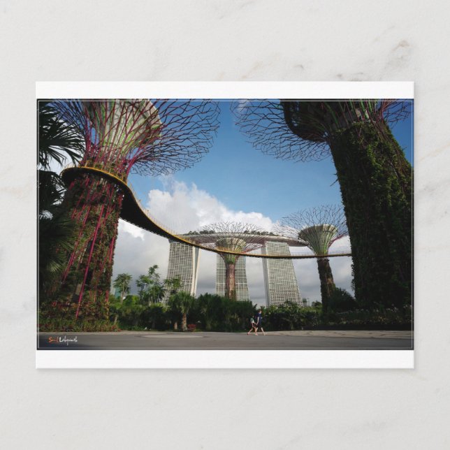 Singapore - Garden By The Bay and Marina Bay Sands Postcard (Front)