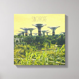 Singapore Gardens by the Bay Canvas Print