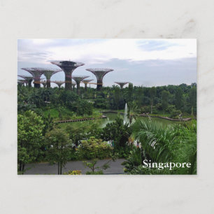 Singapore Gardens by the Bay Postcard