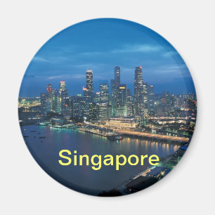 singapore magnet