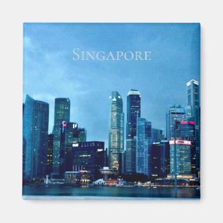 Singapore Magnet