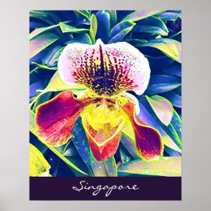 Singapore Orchid travel South East Asia Poster