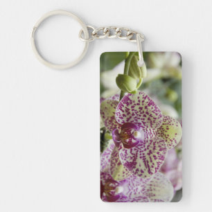 Singapore (Sanskrit for Lion City). National Keychain