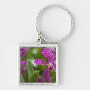 Singapore Sanskrit for Lion City). National Keychain