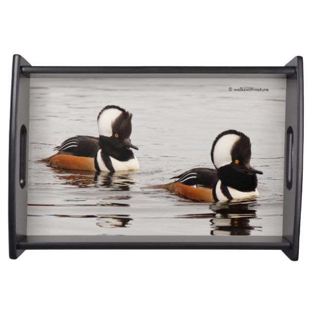 Singers in the Making: Hooded Mergansers Serving Tray (Front)
