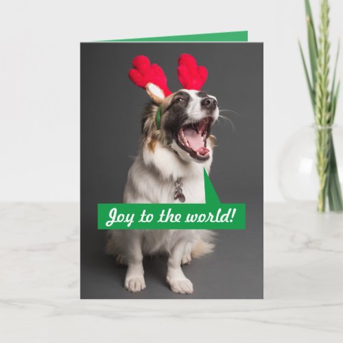 Singing Australian Shepherd Christmas Holiday Card