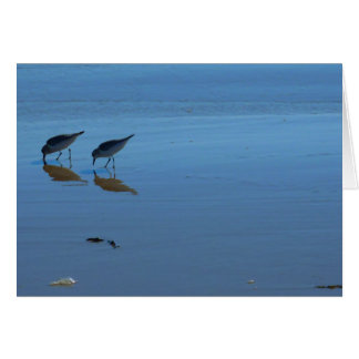 Singing Beach Sandpipers Cards