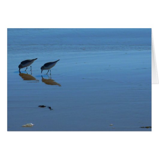 Singing Beach Sandpipers Cards (Front Horizontal)