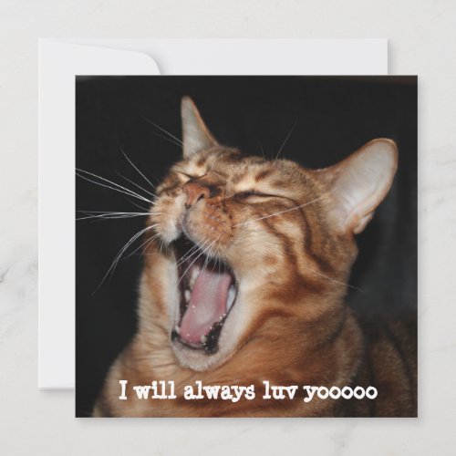 Singing Bengal Cat Birthday Valentine Mothers Day Holiday Card