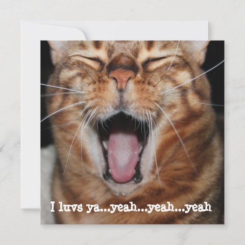 Singing Bengal Cat Birthday Valentine Mothers Day Holiday Card