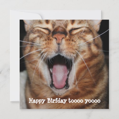 Singing Bengal Cat Happy Birfday Birthday Card