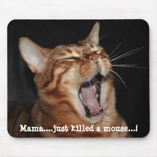 Singing Bengal Cat Mama Just Killed A Meme Mouse Pad Zazzle Com