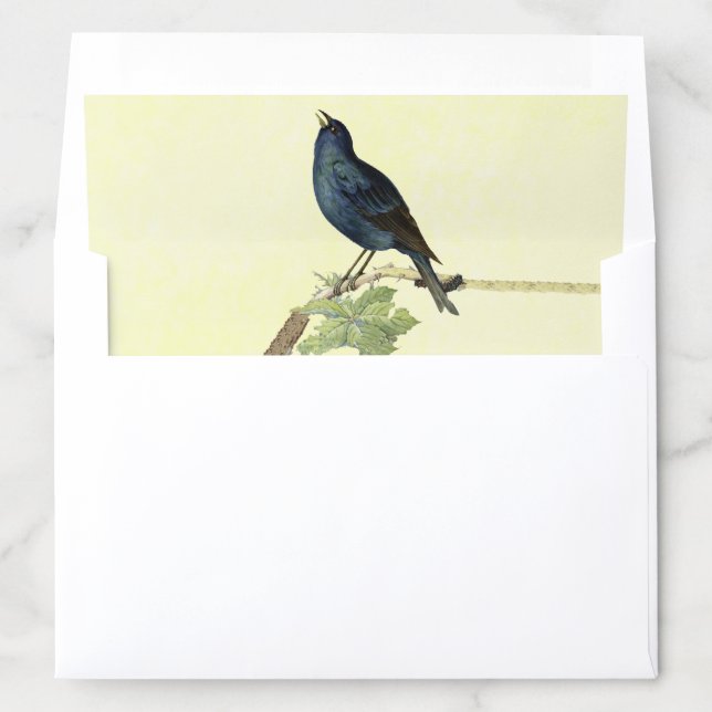 Singing Black Bird on Branch Leaves Caterpillar Envelope Liner (In Envelope)