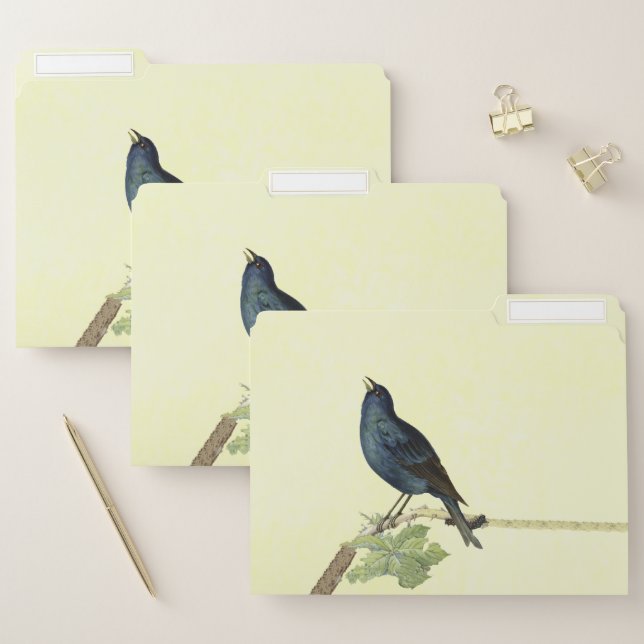 Singing Black Bird on Branch With Caterpillar  File Folder (Set)