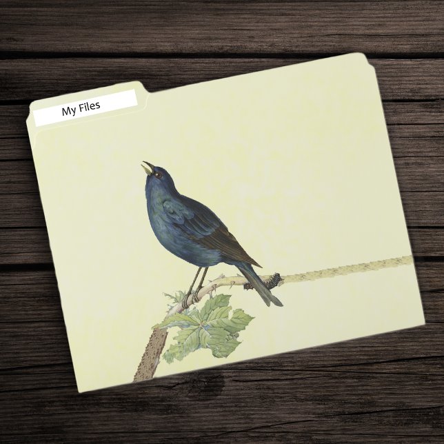 Singing Black Bird on Branch With Caterpillar  File Folder (Elegant singing black bird on branch with leaves and caterpillar on pale yellow set of file folders.)