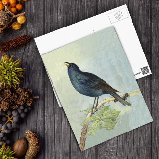 Singing Blackbird Watercolor PostCard