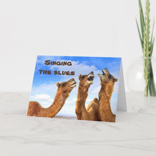 SINGING CAMELS SING THE BLUES_GET WELL CARD