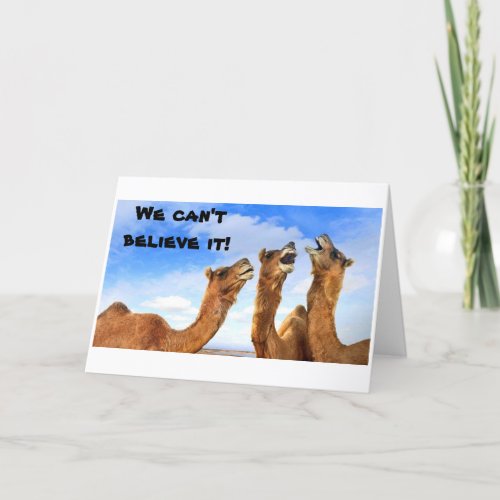 SINGING CAMELS SING THE BLUES_GET WELL CARD