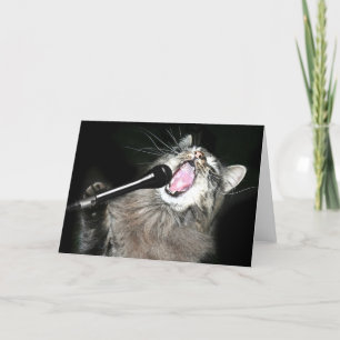 Singing cat card