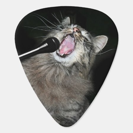 Singing Cat Guitar Pick