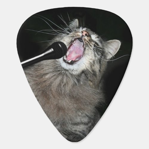 Singing cat guitar pick