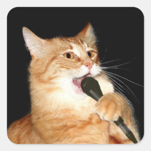 Singing cat square sticker