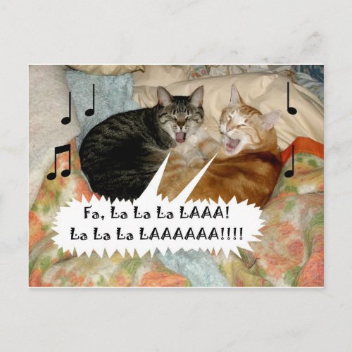 Singing Cats Postcard