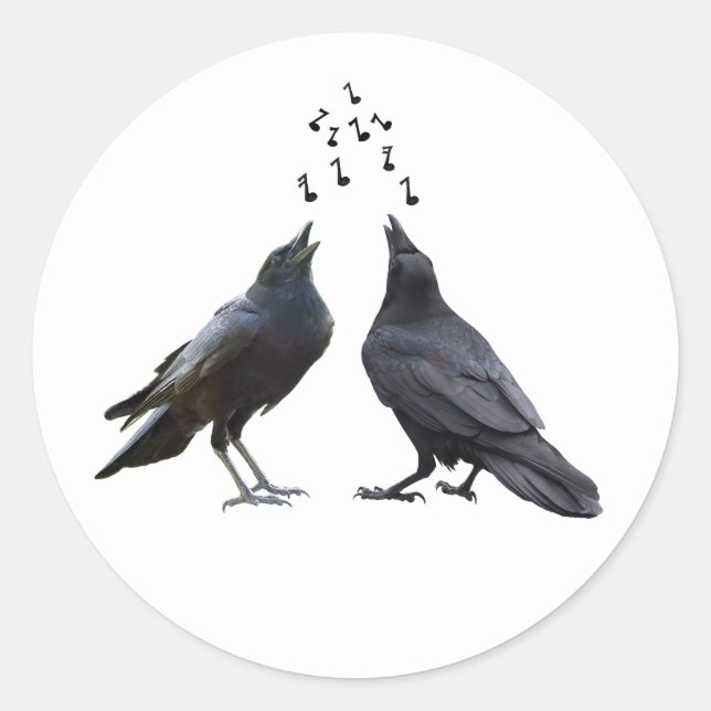 Singing Crows  Stickers (Front)