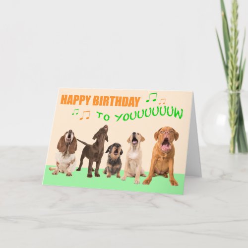 Singing dogs wishing you happy birthday holiday card