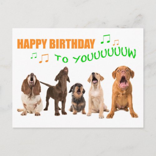 Singing dogs wishing you happy birthday postcard