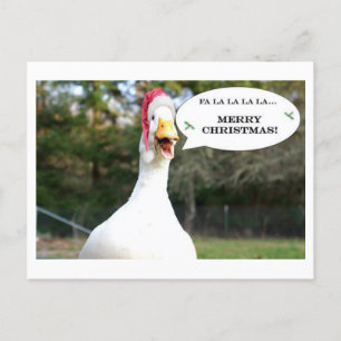 Singing Duck Holiday Card