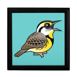 Eastern Meadowlark (singing) Large 7.125