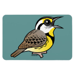 Eastern Meadowlark (singing) 4
