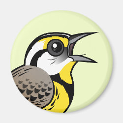 Eastern Meadowlark (singing) Round Magnet