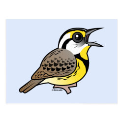 Eastern Meadowlark (singing) Postcard
