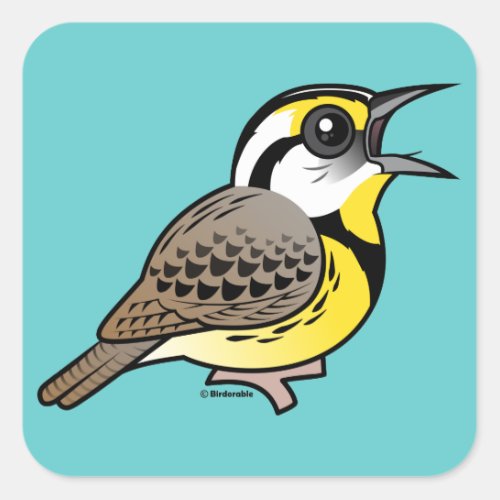 Singing Eastern Meadowlark Square Sticker