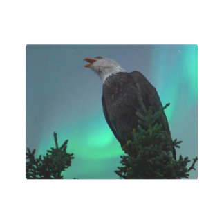 Singing for the Northern Lights Alaska Metal Print