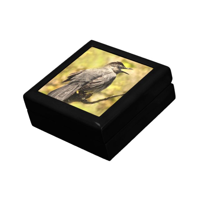 Singing Gray Catbird Keepsake Box (Side)