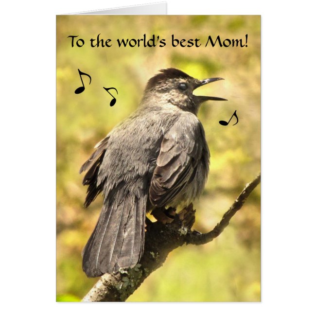 Singing Gray Catbird Mothers Day Card