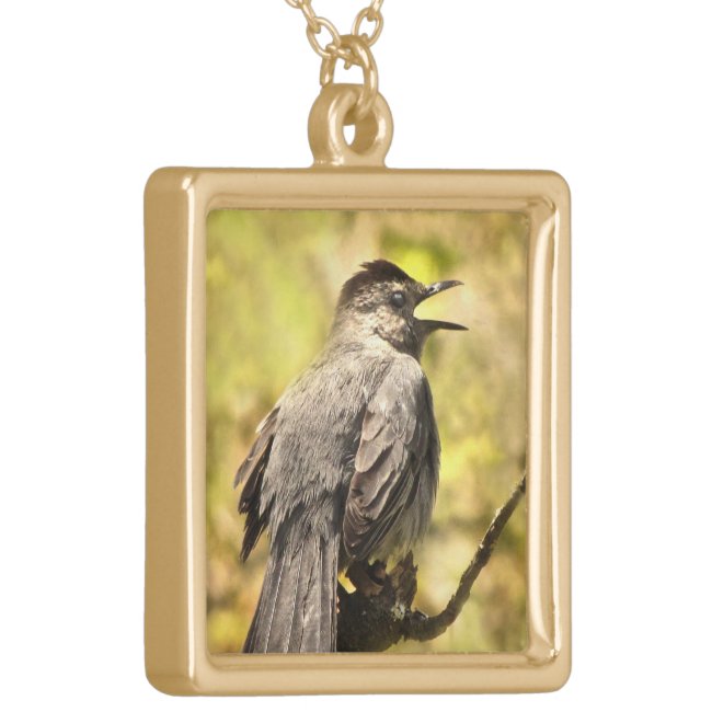 Singing Gray Catbird Necklace