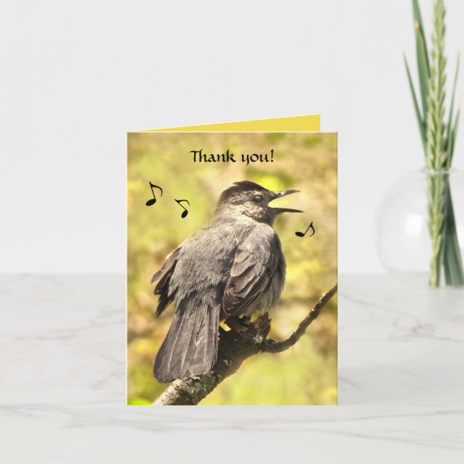 Singing Gray Catbird Thank You Card