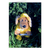 Singing in the rain (Front)