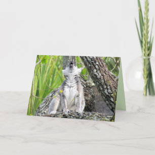 Singing Lemur Greeting Card