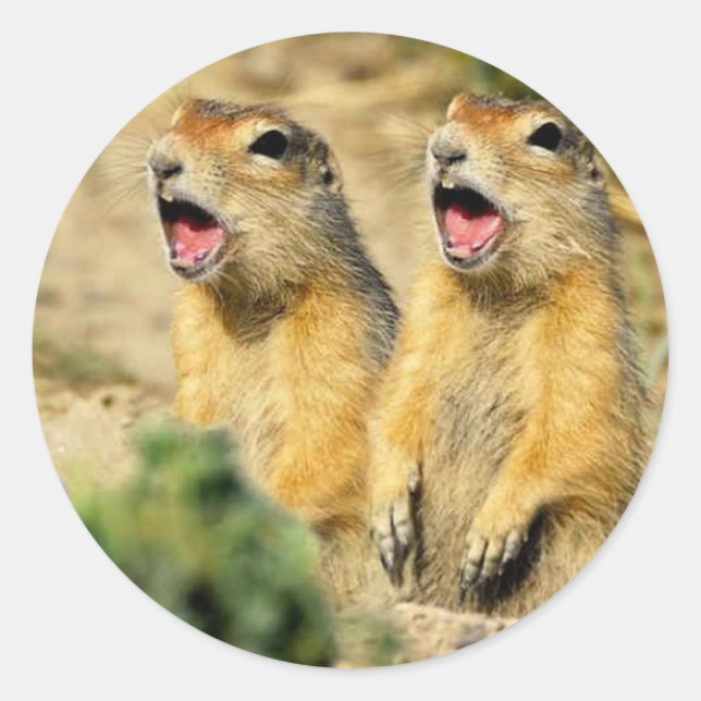 Singing Prairie Dogs Classic Round Sticker (Front)