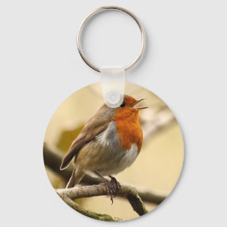 Singing Robin Keychain