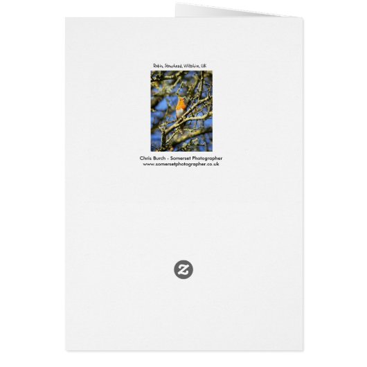 Singing Robin, Stourhead (Back)