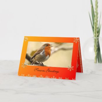 Singing Robin Template Christmas Card by Welshpixels at Zazzle